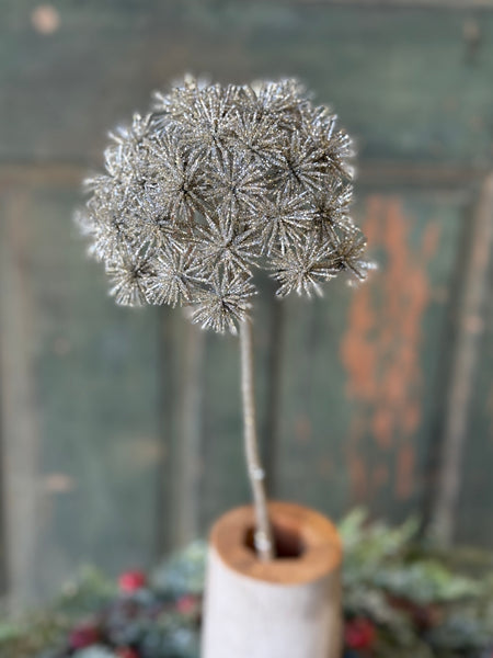 Star Gazer Pick | 27" | NOT CURRENTLY IN STOCK-New For Holiday 2026!