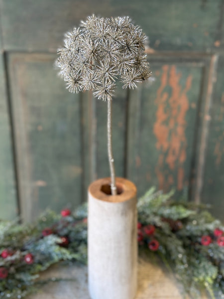 Star Gazer Pick | 27" | NOT CURRENTLY IN STOCK-New For Holiday 2026!