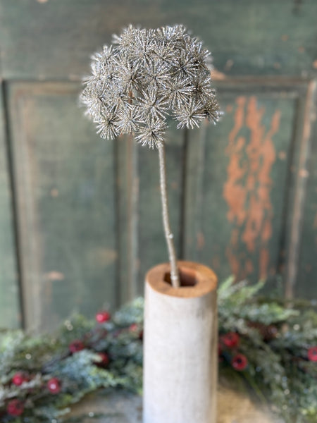 Star Gazer Pick | 27" | NOT CURRENTLY IN STOCK-New For Holiday 2026!