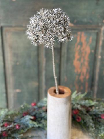 Star Gazer Pick | 27" | NOT CURRENTLY IN STOCK-New For Holiday 2026!