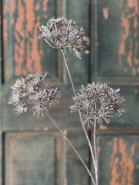 Star Gazer Spray | 33" | NOT CURRENTLY IN STOCK-New For Holiday 2026!