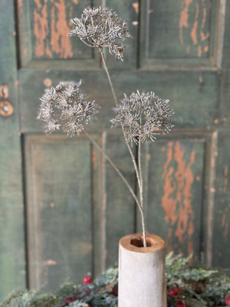 Star Gazer Spray | 33" | NOT CURRENTLY IN STOCK-New For Holiday 2026!