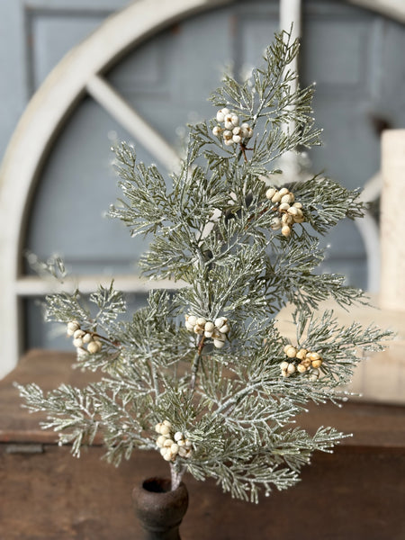 Tee Berry Cedar Spray | 21" | NOT CURRENTLY IN STOCK-New For Holiday 2026!