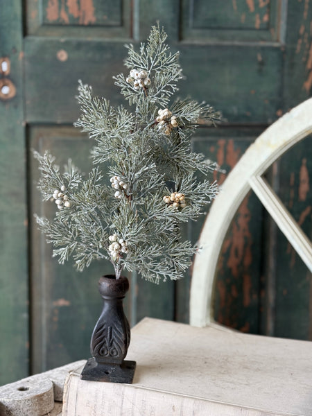 Tee Berry Cedar Spray | 21" | NOT CURRENTLY IN STOCK - ETA July