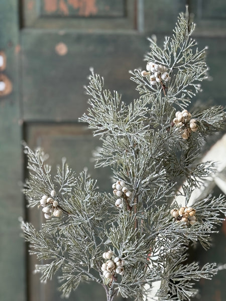 Tee Berry Cedar Spray | 21" | NOT CURRENTLY IN STOCK - ETA July
