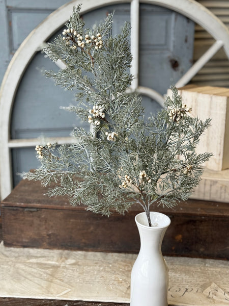 Tee Berry Cedar Spray | 29" | NOT CURRENTLY IN STOCK-New For Holiday 2026!