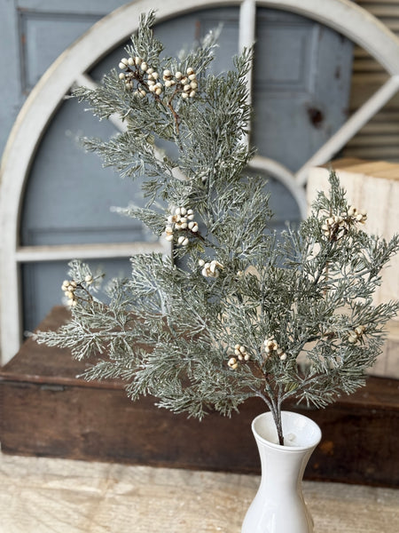 Tee Berry Cedar Spray | 29" | NOT CURRENTLY IN STOCK-New For Holiday 2026!