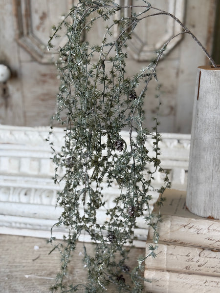 Dancing Pinecone Pine Vine | 44" | NOT CURRENTLY IN STOCK-New For Holiday 2026!