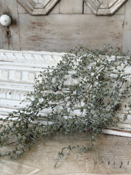 Dancing Pinecone Pine Vine | 44" | NOT CURRENTLY IN STOCK-New For Holiday 2026!