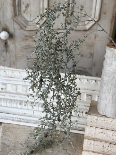 Dancing Pinecone Pine Vine | 44" | NOT CURRENTLY IN STOCK-New For Holiday 2026!