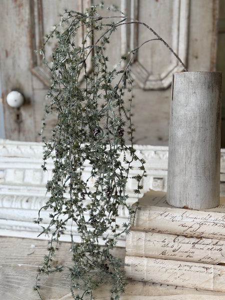 Dancing Pinecone Pine Vine | 44" | NOT CURRENTLY IN STOCK-New For Holiday 2026!