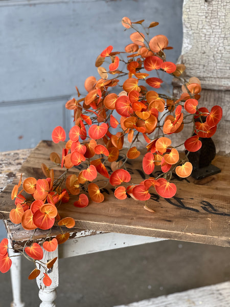 Setting Sun Leaves Hanging | 33"