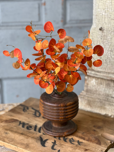 Setting Sun Leaves Bush | 18" | CLEAN UP SPECIAL!  From $2.95 - Last 156pcs!