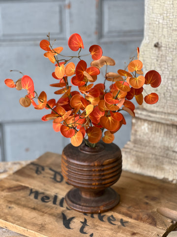 Setting Sun Leaves Bush | 18" | CLEAN UP SPECIAL!  From $2.95 - Last 156pcs!