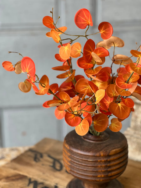 Setting Sun Leaves Bush | 18" | CLEAN UP SPECIAL!  From $2.95 - Last 156pcs!