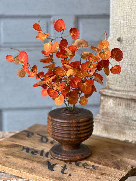 Setting Sun Leaves Bush | 18" | CLEAN UP SPECIAL!  From $2.95 - Last 156pcs!