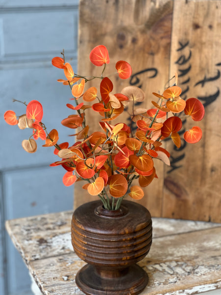 Setting Sun Leaves Bush | 18" | CLEAN UP SPECIAL!  From $2.95 - Last 156pcs!