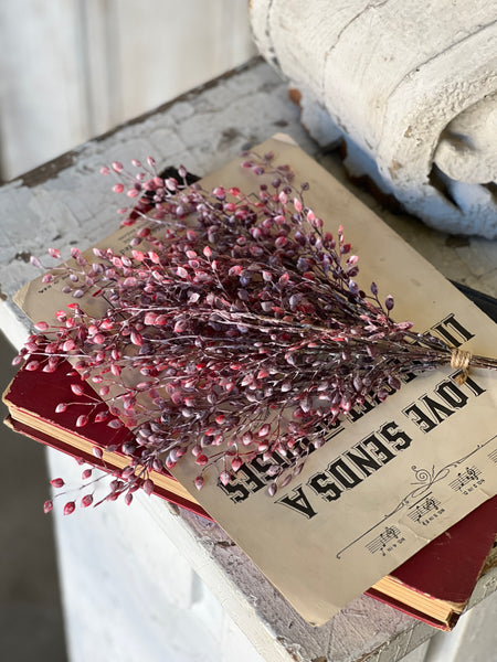 Snow Shot Luna Bundle | 15" | SOLD OUT