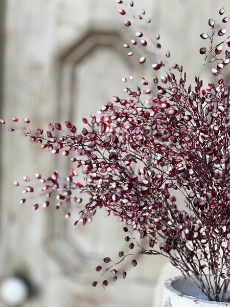 Snow Shot Luna Bush | 19" | SOLD OUT