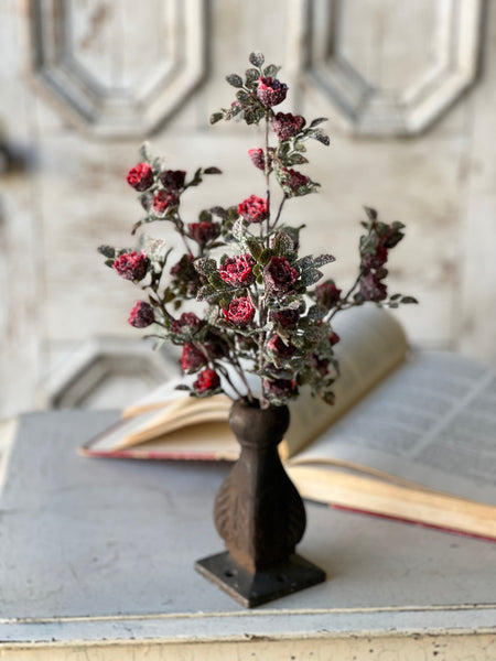 Frosted Tiny Tea Rose Bush | 14" | SOLD OUT