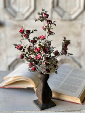 Frosted Tiny Tea Rose Bush | 14" | SOLD OUT