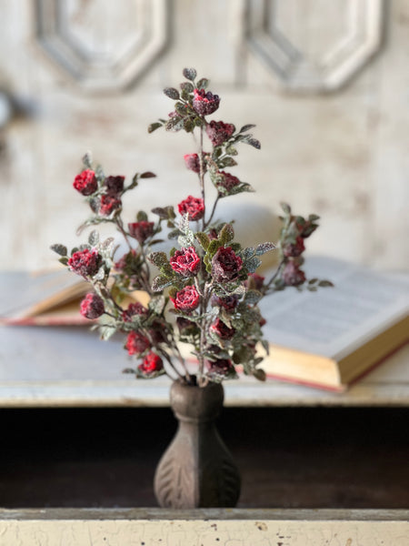 Frosted Tiny Tea Rose Bush | 14" | SOLD OUT