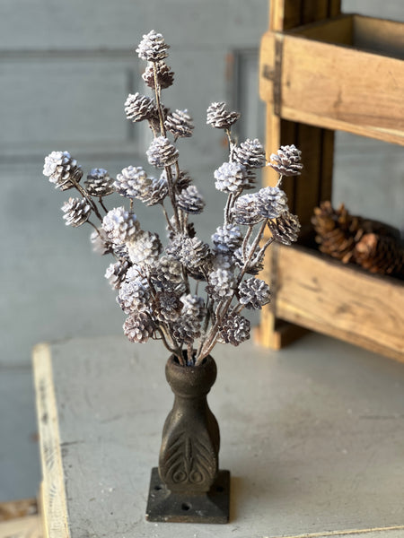 Snow Creek Cone Bush | 15"