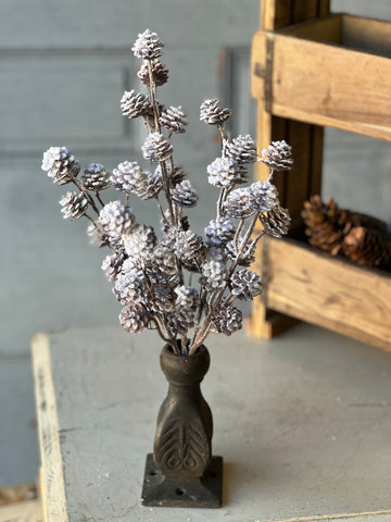 Snow Creek Cone Bush | 15"