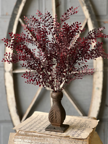 Red Ruta Rue Bush | 18" | SOLD OUT