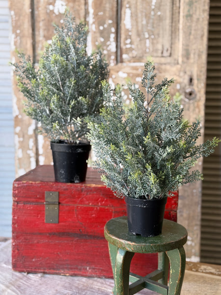 Icy Ingles Cypress Pot | 18" | NOT CURRENTLY IN STOCK-New For Holiday 2026!