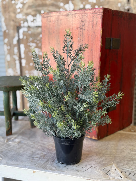 Icy Ingles Cypress Pot | 18" | NOT CURRENTLY IN STOCK-New For Holiday 2026!