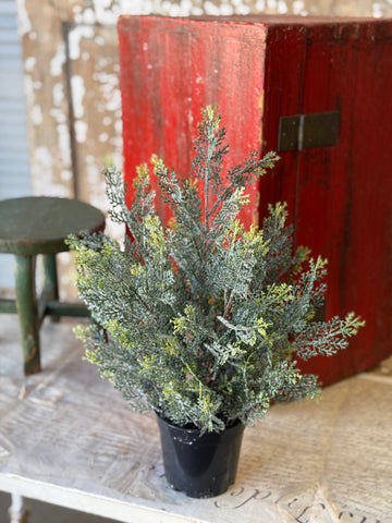 Icy Ingles Cypress Pot | 18" | NOT CURRENTLY IN STOCK-New For Holiday 2026!