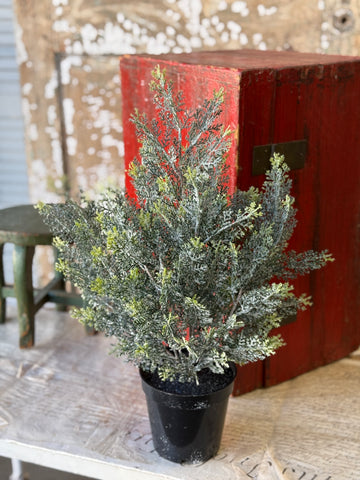 Icy Ingles Cypress Pot | 20" | NEW CLOSEOUT + CLEAN UP SPECIAL!  From $4.95 - Last 78pcs!