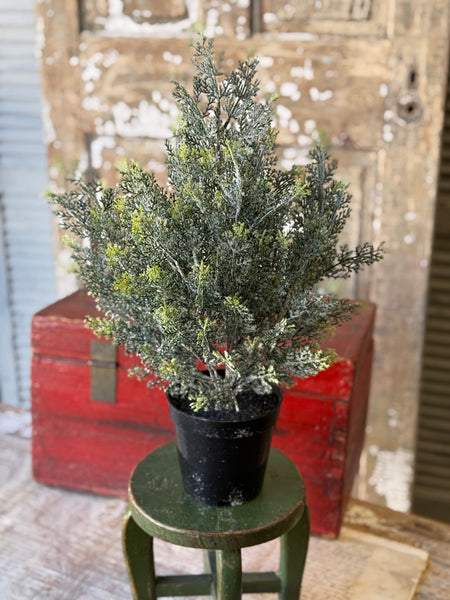 Icy Ingles Cypress Pot | 20" | NOT CURRENTLY IN STOCK-New For Holiday 2026!