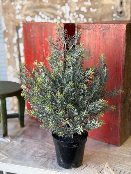 Icy Ingles Cypress Pot | 20" | NOT CURRENTLY IN STOCK-New For Holiday 2026!
