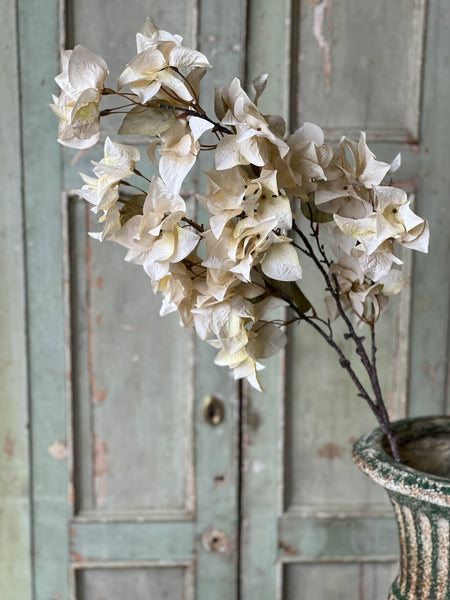 Bougainvillea Spray | 42" | Dream