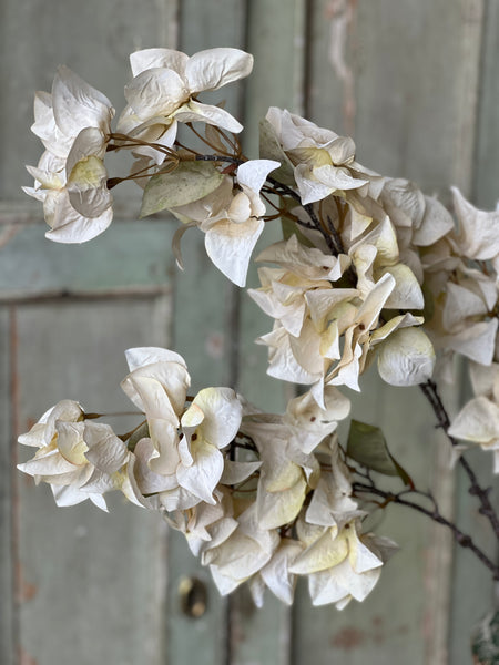 Bougainvillea Spray | 42" | Dream
