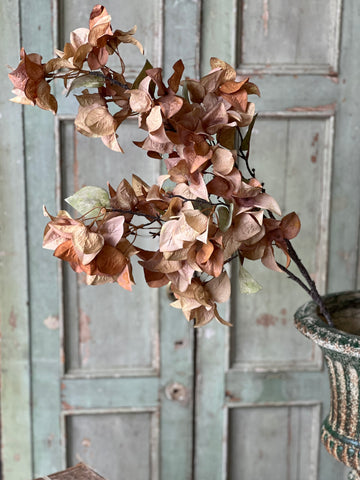 Bougainvillea Spray | 42" | Sandalwood | SOLD OUT