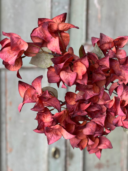 Bougainvillea Spray | 42" | Torch | CLEAN UP SPECIAL!  From $4.95 - Last 72pcs!