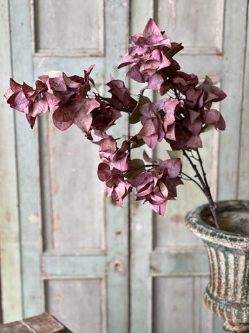 Bougainvillea Spray | 42" | Vivid