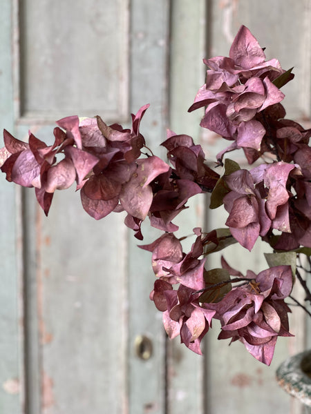Bougainvillea Spray | 42" | Vivid