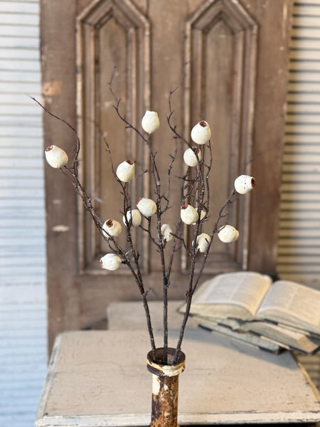 Pisa Pods Bundle | 33" | Dream