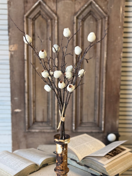 Pisa Pods Bundle | 33" | Dream