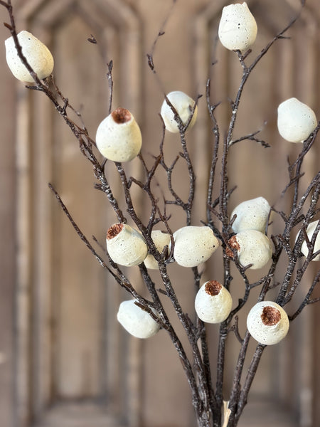 Pisa Pods Bundle | 33" | Dream