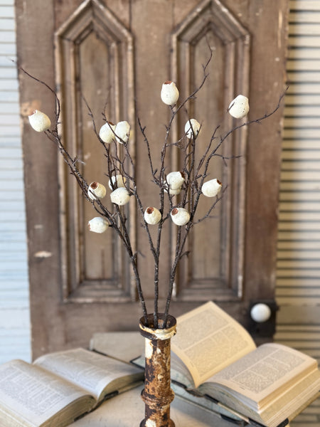 Pisa Pods Bundle | 33" | Dream