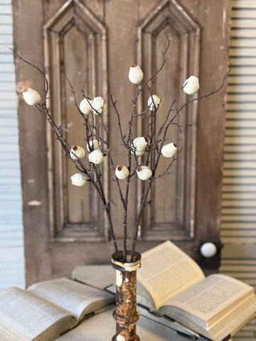 Pisa Pods Bundle | 33" | Dream