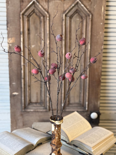 Pisa Pods Bundle | 33" | Deep