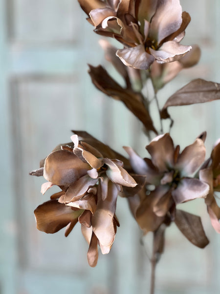 Canna Spray | 33" | Tawny