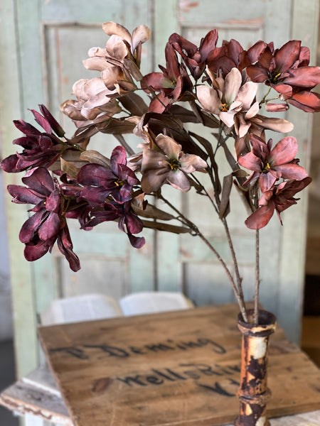 Canna Spray | 33" | Deep