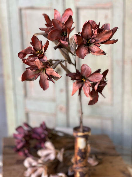 Canna Spray | 33" | Rust